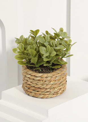 Potted Plant Small Fake Plants Indoor Home Decor Decorative Pot for