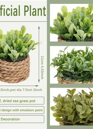 SIA FLOWER Green Artificial Plants Eucalyptus Grass Woven Small Potted