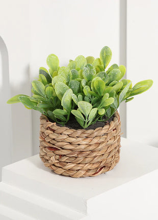 SIA FLOWER Green Artificial Plants Eucalyptus Grass Woven Small Potted