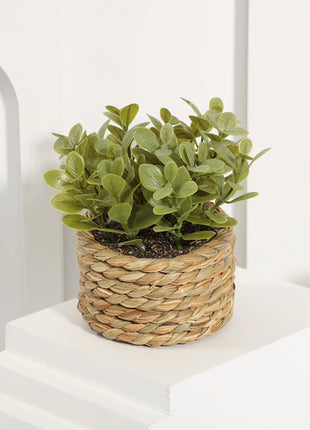 SIA FLOWER Green Artificial Plants Eucalyptus Grass Woven Small Potted
