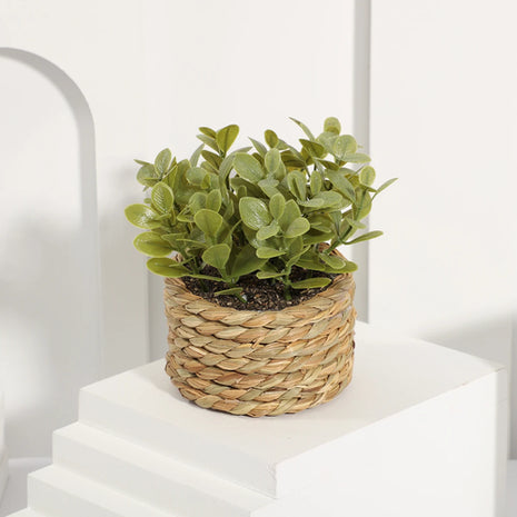 SIA FLOWER Green Artificial Plants Eucalyptus Grass Woven Small Potted
