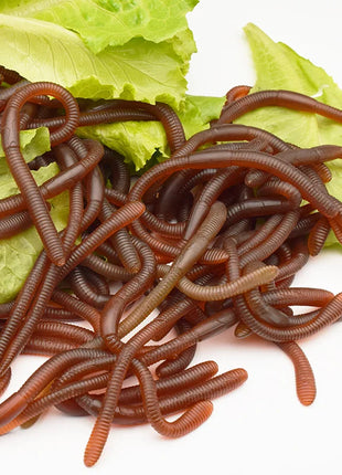 10Pcs Simulated Insects Earthworms Soft Rubber Toy Floor Dragons Props