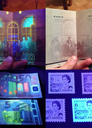 12/21/51 LED Protable UV Flashlight Black Light Ultraviolet Torch