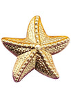 1pc starfish
