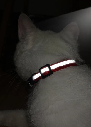 Customized Cat Collar Reflective Cat Collar Free Engraved Puppy Kitten