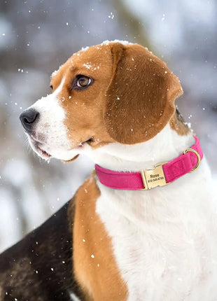 Personalized Velvet Dog Collar Super Soft Dogs ID Buckle Collars