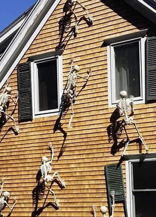 Halloween Movable Skeleton Fake Human Skull Bones Halloween Party Home