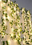 2M 20LEDS / Ivy Vines