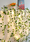 5M 50LEDs / Watermelon leaves