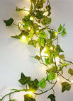 5M 50LEDs / Two color Ivy Vines