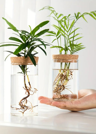 1pc, Hydroponics Plants Desktop Glass Planter Vase For Home