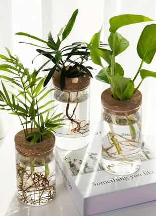 1pc, Hydroponics Plants Desktop Glass Planter Vase For Home