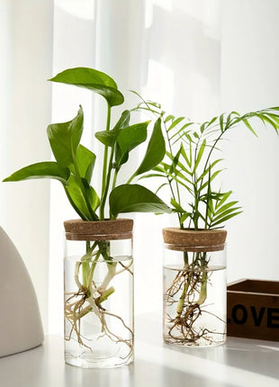 1pc, Hydroponics Plants Desktop Glass Planter Vase For Home