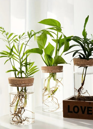 1pc, Hydroponics Plants Desktop Glass Planter Vase For Home