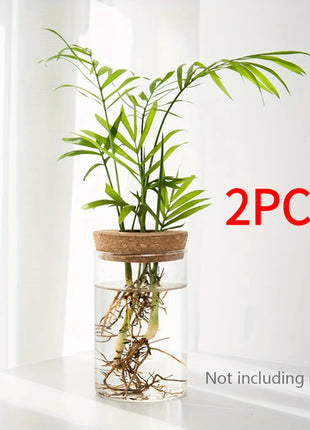 1pc, Hydroponics Plants Desktop Glass Planter Vase For Home