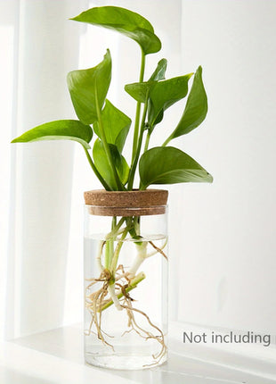 1pc, Hydroponics Plants Desktop Glass Planter Vase For Home