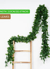 80leaves-C