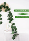36leaves-B