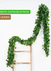 80leaves-D