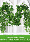 72leaves-C