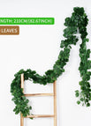 80leaves-B