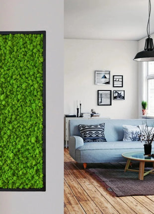 Artificial Green Plants Mini Landscape Eternal Life Moss Grass Fake