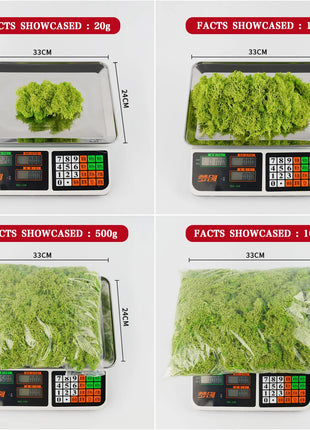 Artificial Green Plants Mini Landscape Eternal Life Moss Grass Fake