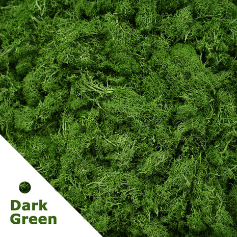 Artificial Green Plants Mini Landscape Eternal Life Moss Grass Fake