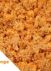 80gram / Orange
