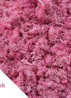 40gram / Pink