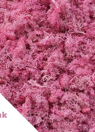 Artificial Green Plants Mini Landscape Eternal Life Moss Grass Fake