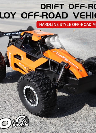 ZWN 1:16/1:20 2.4G Model RC Car With LED Light 2WD Off-road Remote