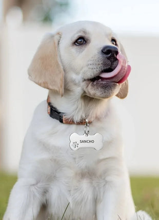 Personalized Engraved High Quality Dog Cat Tags with Name and Phone