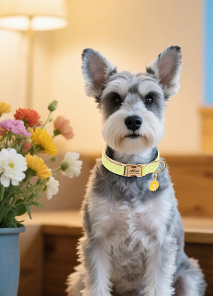 Custom Bling Nylon Dog Collar Free Engraved Puppy Dog ID Name Collars