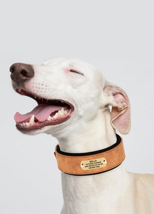 Customized Engraved Dog Collar Wide Leather Dog Collar Large Soft