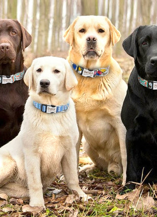 Nylon Dogs Cat Id Collars | Collars, Harnesses Leads - Adjustable