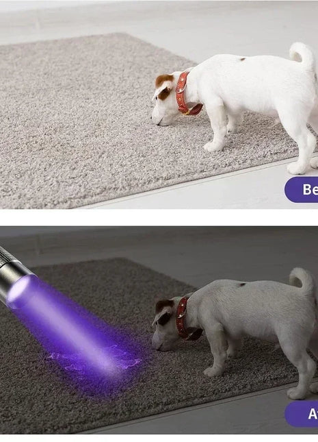 365nm UV Flashlight Ultraviolet Torch With Pen Clip Portable Violet