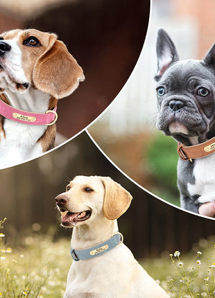 Personalized Dog Collar Custom PU Leather Dog Collars Free Engraved