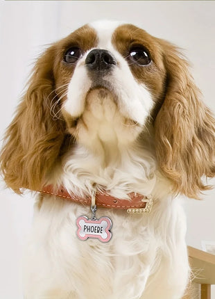 1PC Custom Engraved Name Dog Tag for Pets Personalized Zinc Alloy