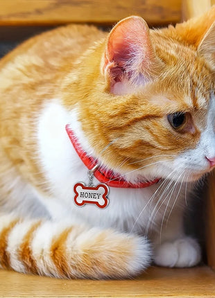 1PC Custom Engraved Name Dog Tag for Pets Personalized Zinc Alloy