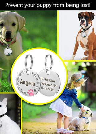 Stainless Steel Engraved Pet Name Collar Pendant ID Tags Personalized