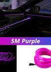 Purple / USB drive