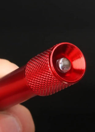Mini Torch Keychain Pendant with battery Portable Small Light led