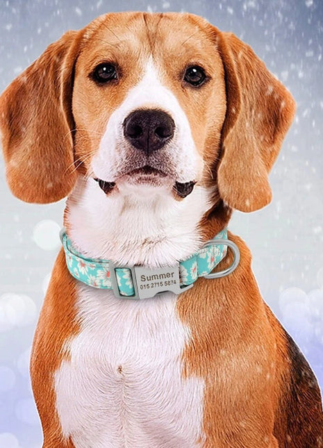 Customized Printed Pet Collar Nylon Dog Collar Personalized Free