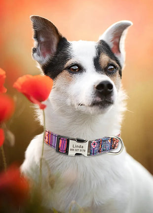 Personalized Nylon Dog Collar Customized Pet Collar Engraved ID Tag