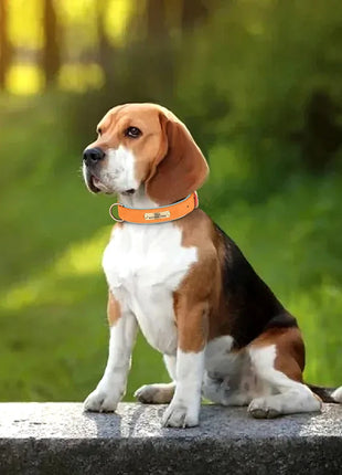 Personalized  PU Leather Dog Collar Free Engraved Dog ID Collars