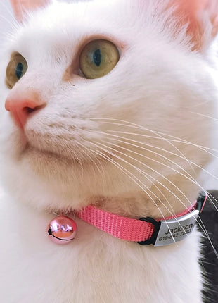 Personalized 1cm Width Cat Collar with Bell Safe Breakaway Cats