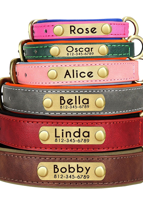 Custom Leather Dog Collar Soft Padded Dog Collars Personalized Pet ID