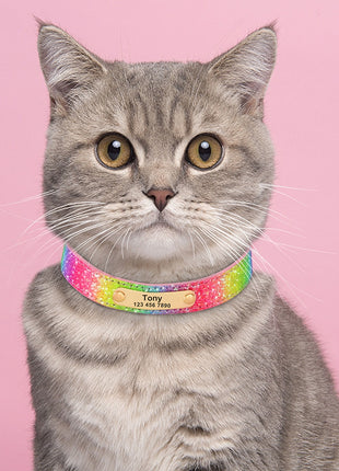 Personalized Dog Collar Bling Customized Anti lost Pet ID Collar