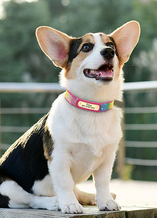 Personalized Dog Collar Bling Customized Anti lost Pet ID Collar